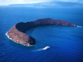 Top Molokini Morning Snorkel Tour