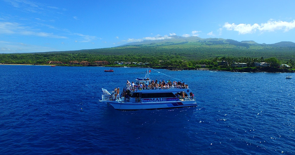 Best Maui Peaceful Secret Spots Turtle Town