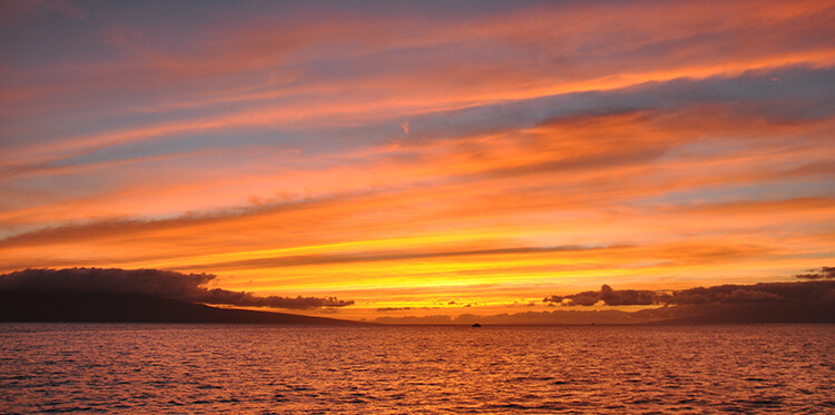 Maui Hawaii 4th of July Party Cruise