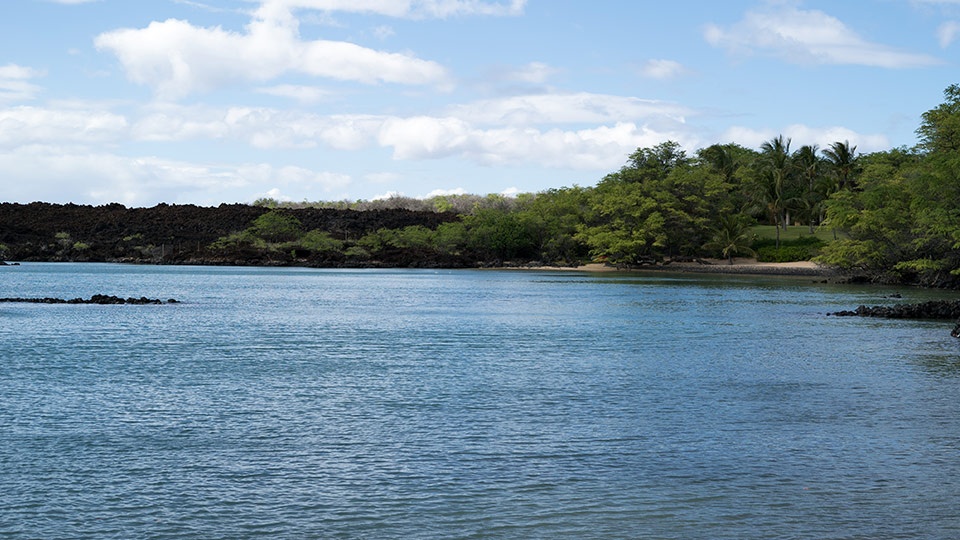 Ahihi Kinau Snorkeling