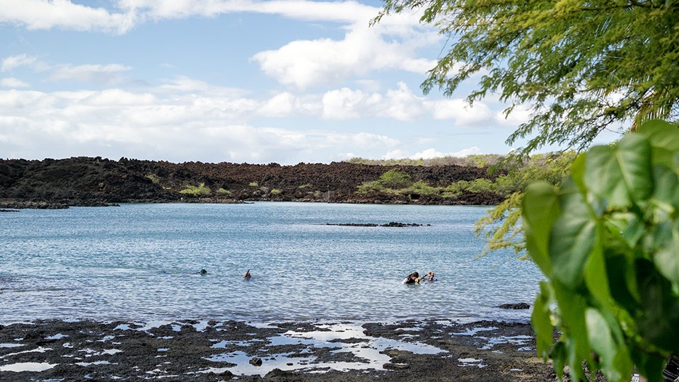 Ahihi Kinau Maui Hawaii