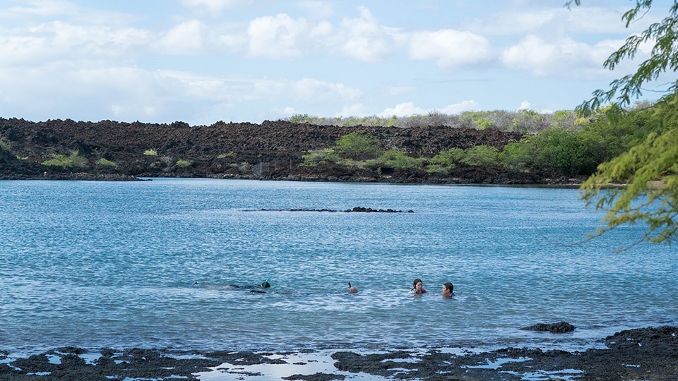 Snorkeling at Ahihi Kinau