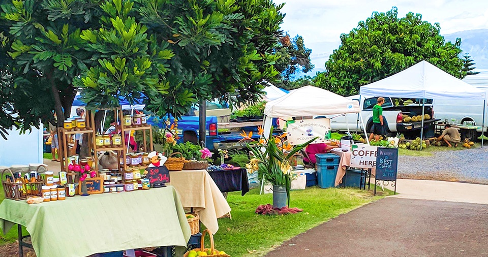 Maui Best All Organic Wednesday Market