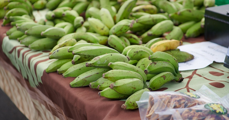 Maui Best All Organic Upcountry Farmers Market