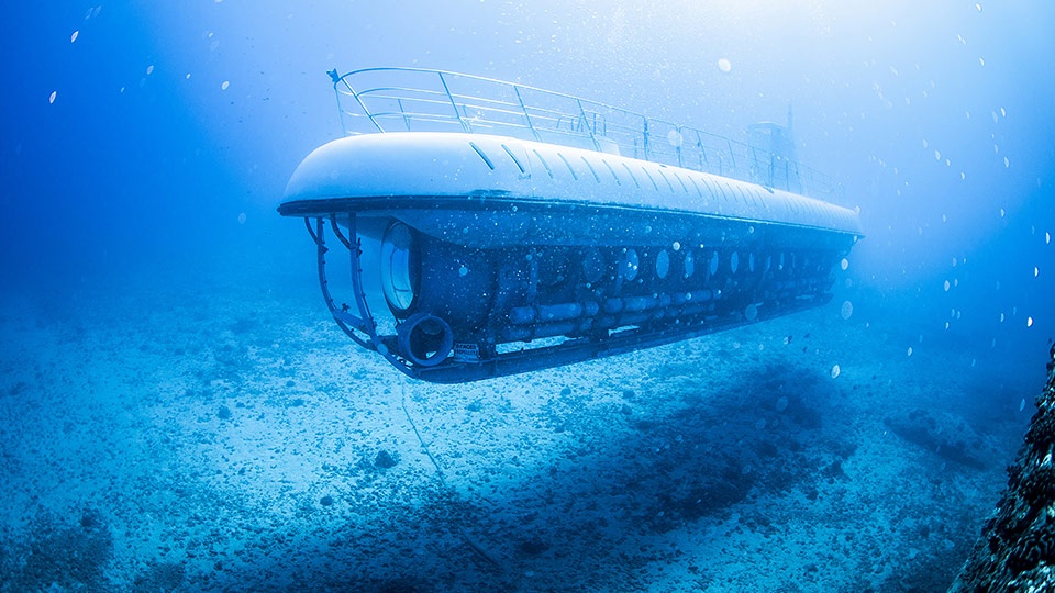 Best West Maui Atlantis Submarine