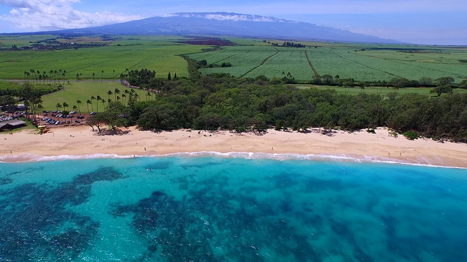 Best Maui Beach Baldwin