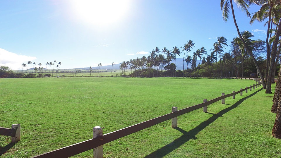 Best Maui Beach Baldwin