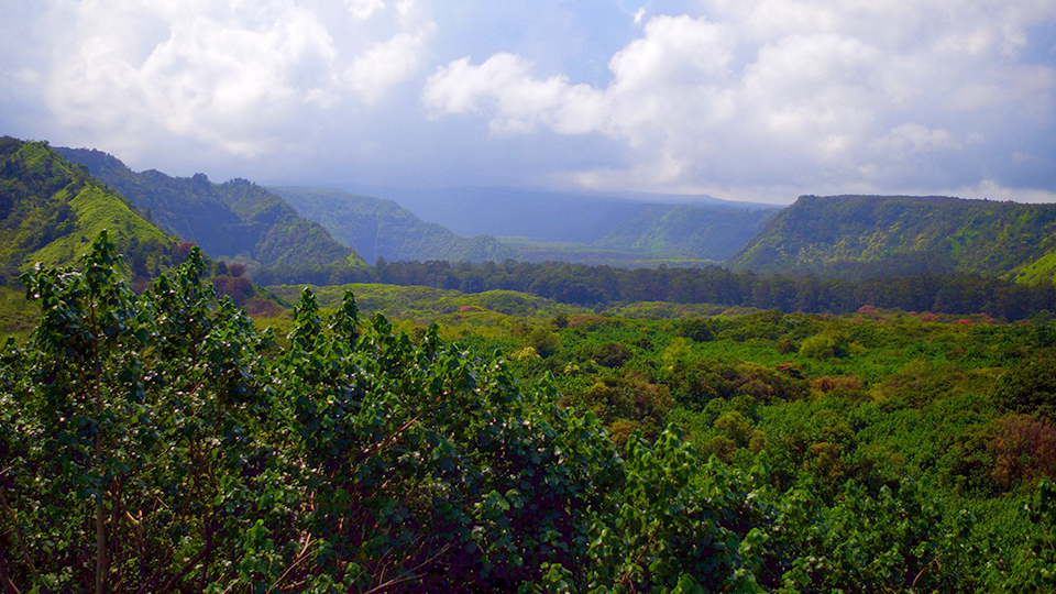 Best Stops Road Hana Wailua Valley Wayside