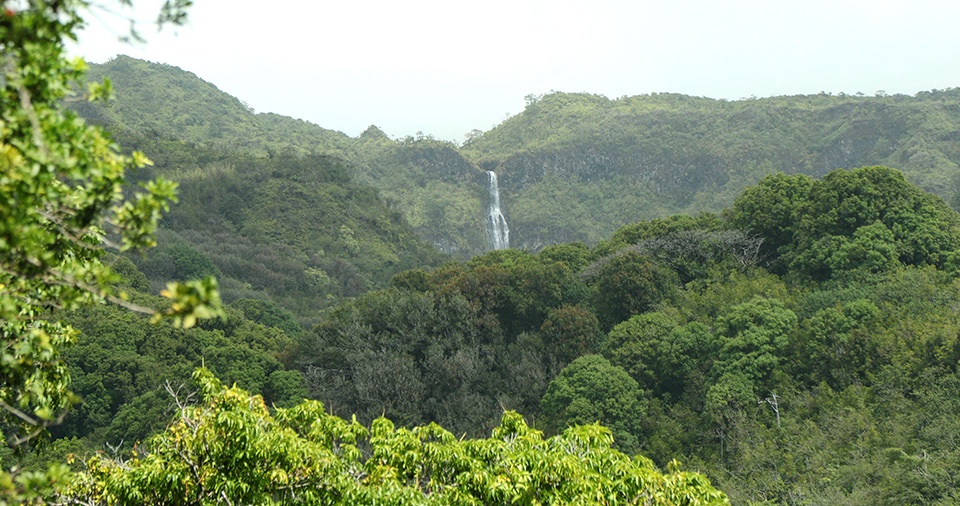 Best Maui Camping Kipahulu