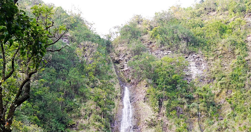 Best Maui Camping Kipahulu