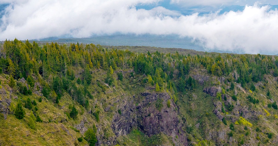 Best Maui Camping Paliku