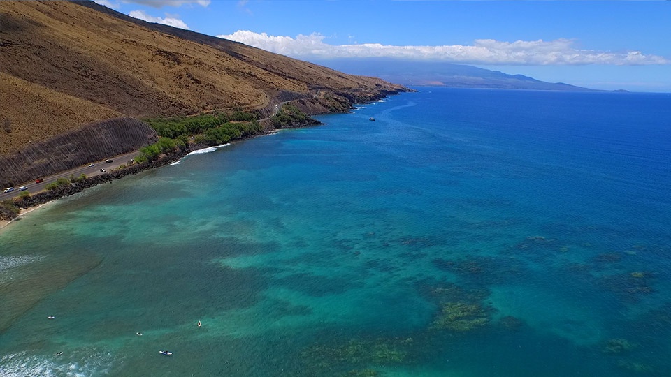 Coral Gardens Maui snorkeling