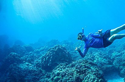 Snorkeling at Coral Gardens