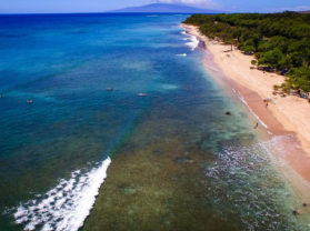 Best Coral Gardens Adventure Snorkel Tour Maui