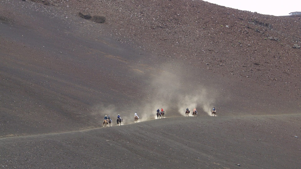 Best Maui Activities Couples Horseback Tours