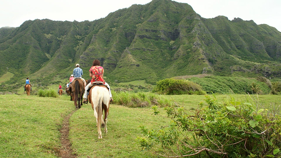 Horseback Tours