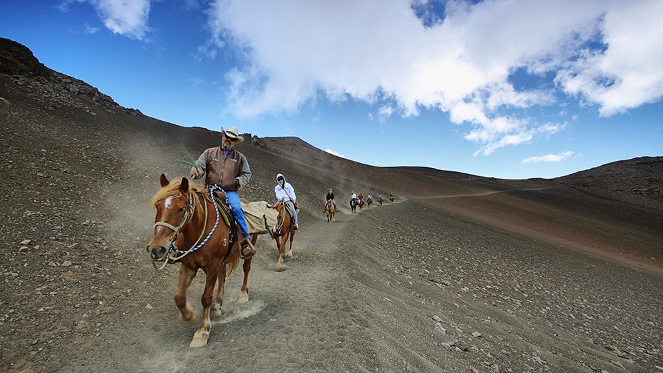 Best Maui Activities Couples Horseback Tours