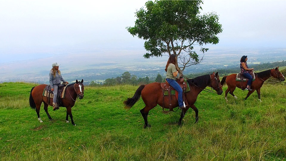 Best Hawaii Activities Horseback Riding