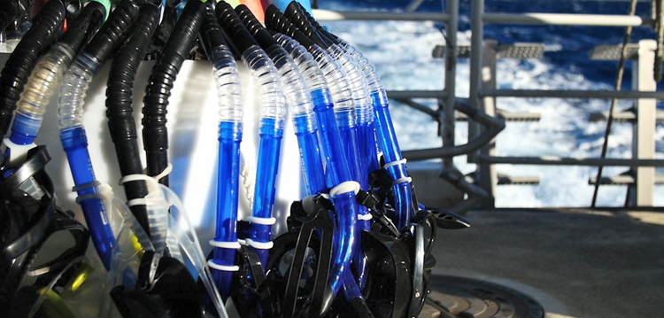 snorkel gear on board the pride of maui afternoon molokini turtle town tour