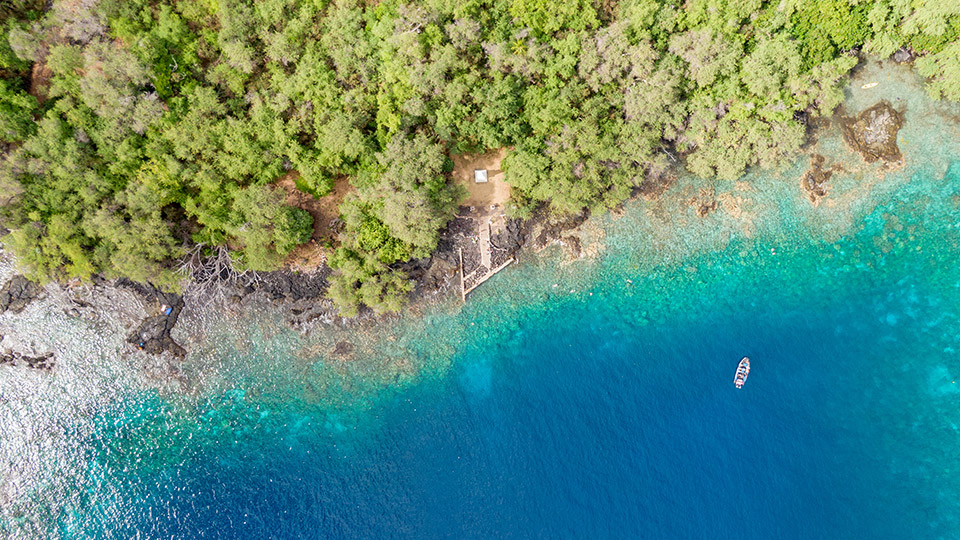 Kealakekua Bay Snorkeling