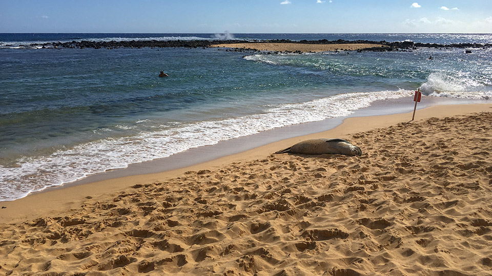 Poipu Beach Park Maui Hawaii