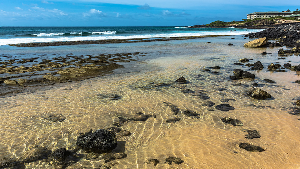 Poipu Beach Park Snorkeling Spot