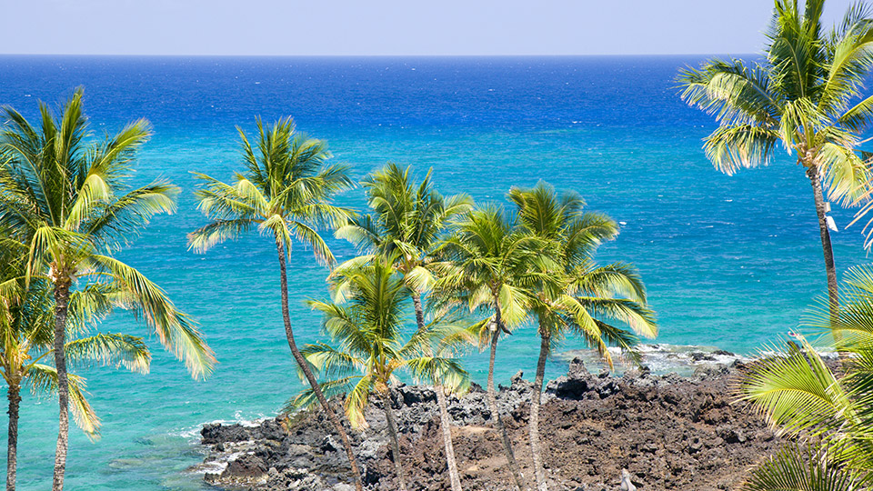 South Kona Shoreline