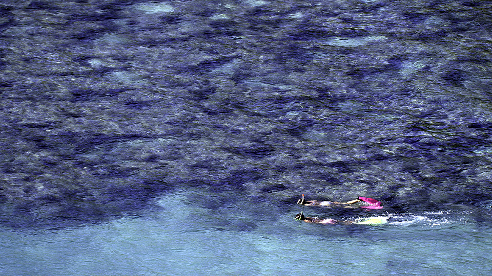 Hanauma Bay Shoreline