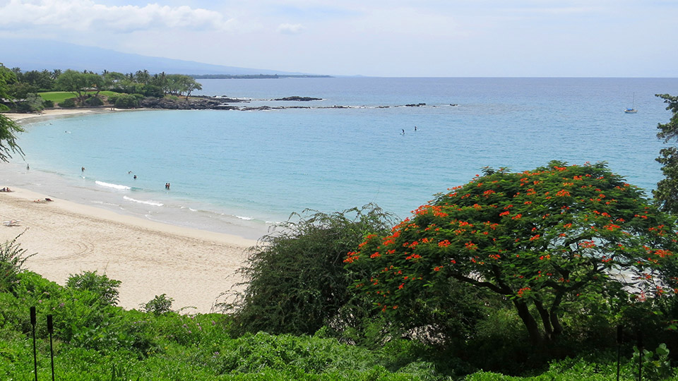 Mauna Kea Beach Snorkeling Spot