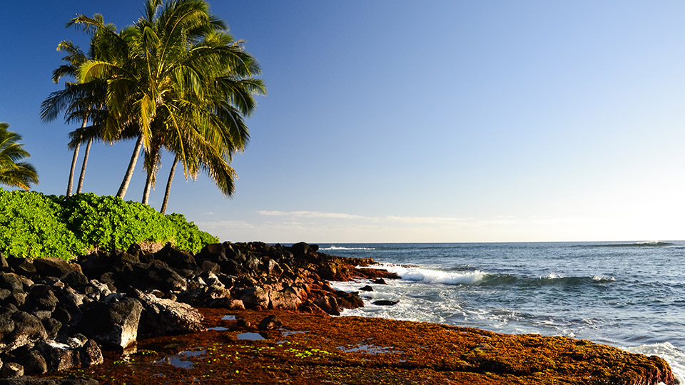 Lawai Beach Snorkeling Spot