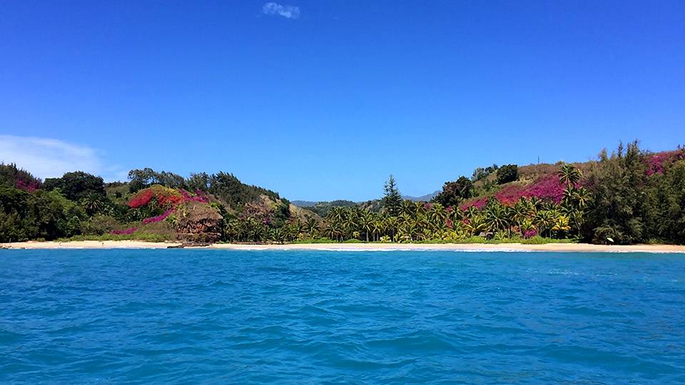 Snorkeling at Lawai Beach