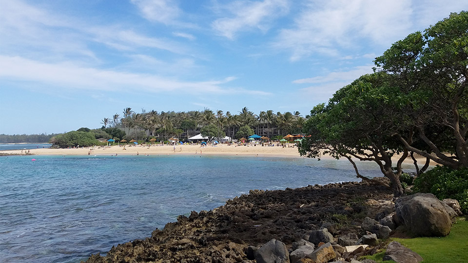 Kuilima Cove Snorkeling