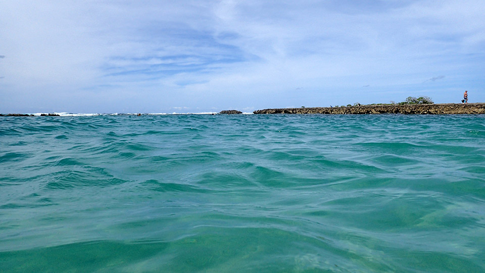 Snorkeling at Kuilima Cove