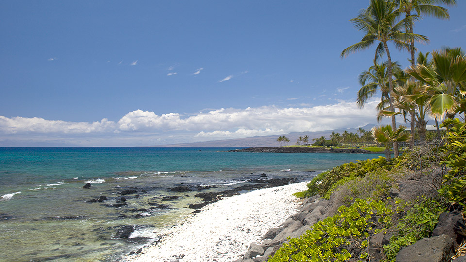 South Kona Snorkeling