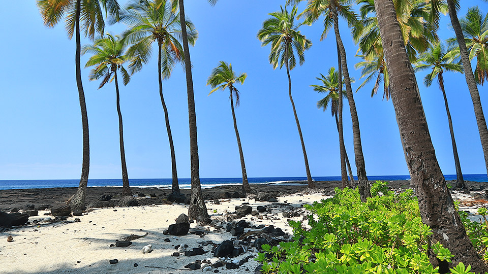 Honaunau Bay