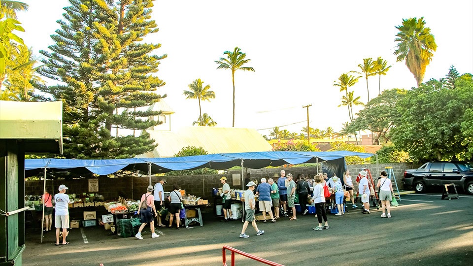 Napili Kapalua Activities Honokawai Farmers Market