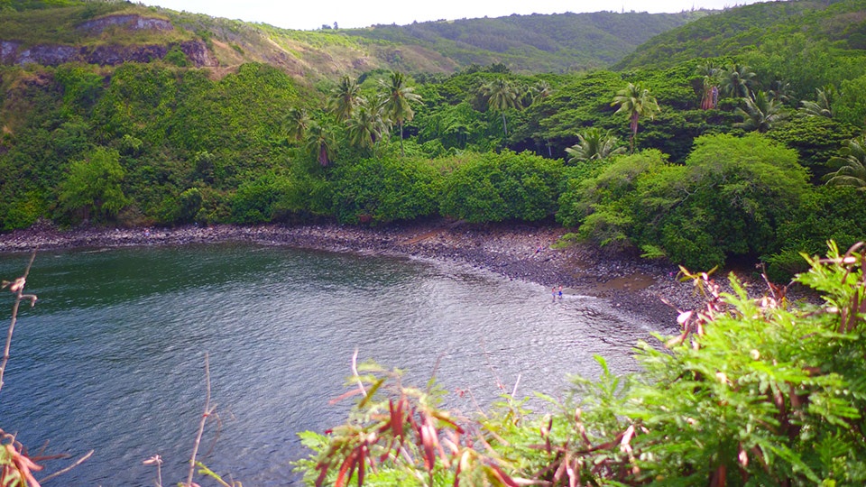 Napili Kapalua Activities Honolua Bay