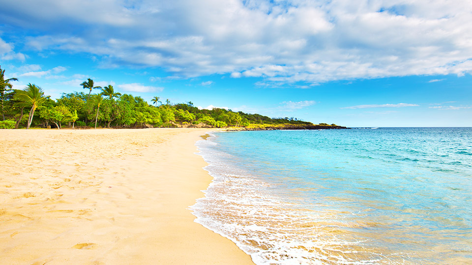 Hulopoe Bay Beach