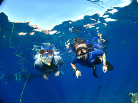 Top Maui Adventure Activity Snorkel Cruise