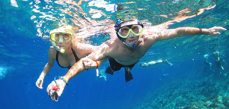 whale watching maui snorkel