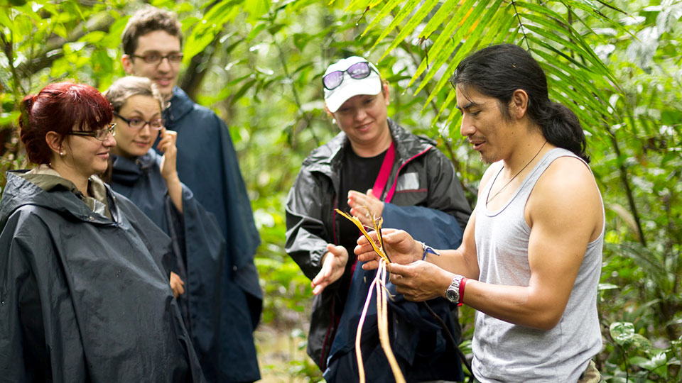 Best Maui Waterfall Tour Guide Cacao