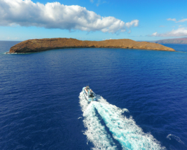 Leilani Morning Molokini Snorkel Tour