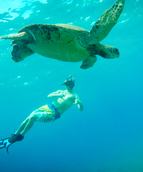 Turtle Town Snorkel Adventure