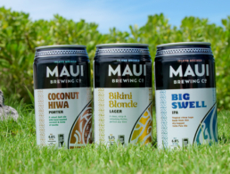 Best Maui Brewing Beer