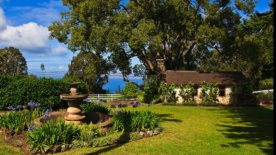 Best Maui Activities Wine