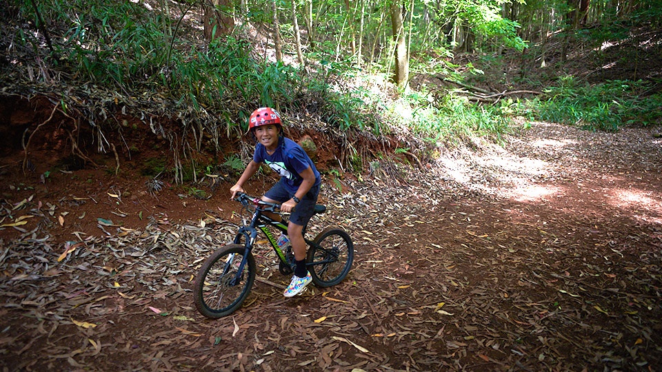 Best Off Beaten Path Makawao Forest