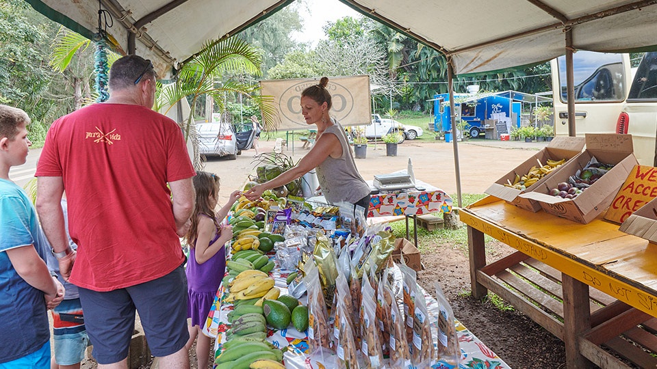 Best Maui ONO Organic Farm