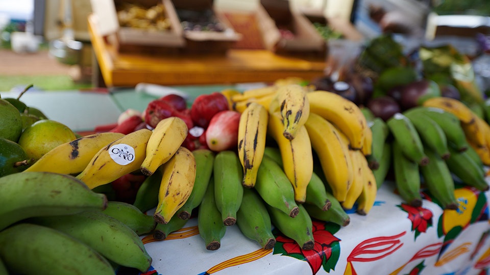 Best Maui ONO Organic Farm