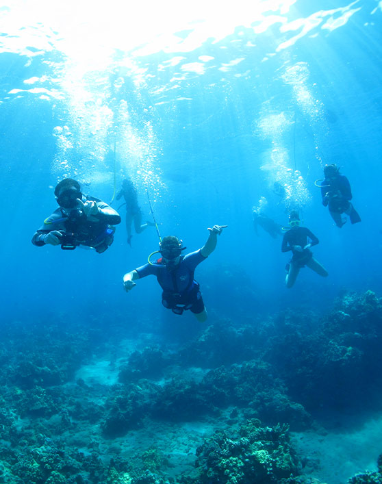 SNUBA and Snorkeling at Molokini Crater