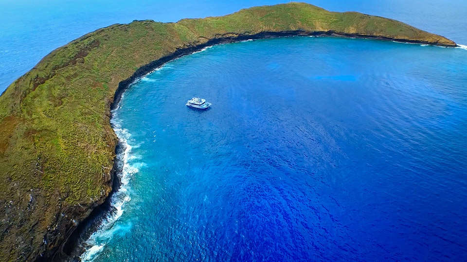 Best Maui Molokini Snorkeling